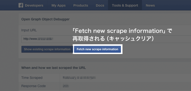 「Fetch new scrape information」で再取得される（キャッシュクリア）