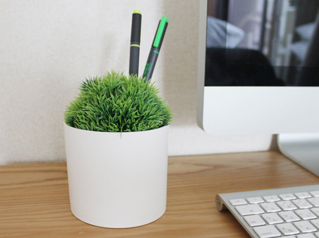 penstand-grass