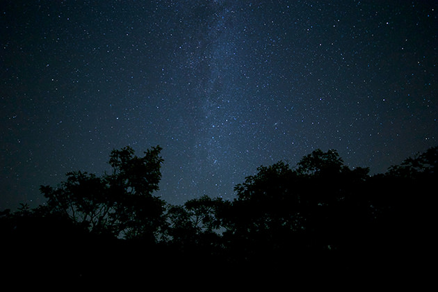 商用利用可 森や山 夜空の写真素材が盛り沢山 Nature Stock Photos Design Edge